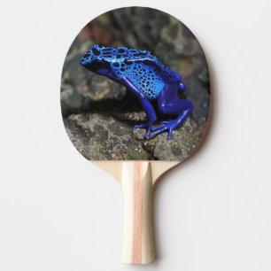 Raquette De Ping Pong Grenouille à tarte à poison bleu, grenouille bleue