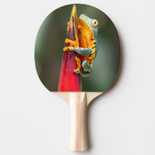 Raquette De Ping Pong Grenouille de singe à pattes de tigre Vert Orange
