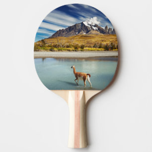 Raquette De Ping Pong Guanaco traversant la rivière en Torres del Paine