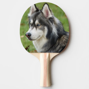 Raquette De Ping Pong Husky