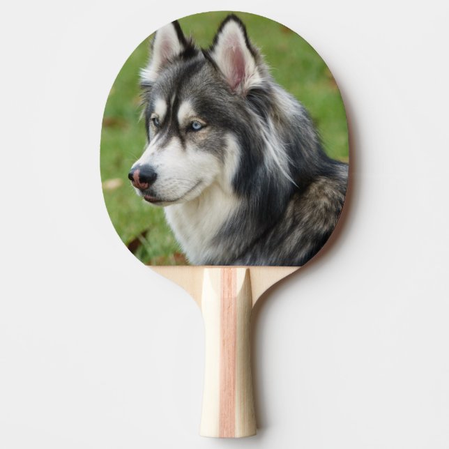 Raquette De Ping Pong Husky (Devant)