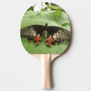 Raquette De Ping Pong Joli Noir Rouge et Bouton d'or Ping Pong