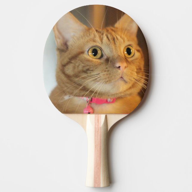 Raquette De Ping Pong Joli Penny (Devant)