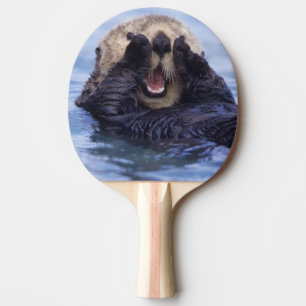Raquette De Ping Pong Jolie loutre de mer   Alaska, États-Unis