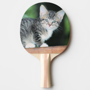 Raquette De Ping Pong Kitten