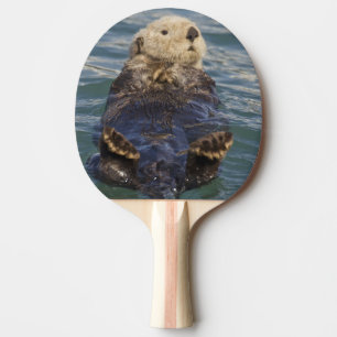 Raquette De Ping Pong La loutre de mer joue sur les icebergs à Surprise 