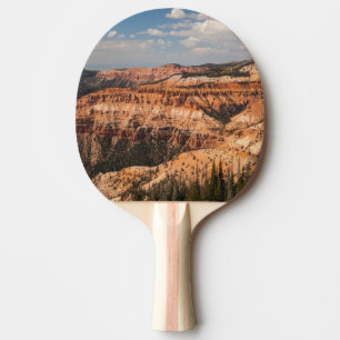 Raquette De Ping Pong Le cèdre casse le monument national, Utah
