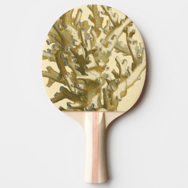 Raquette De Ping Pong Le corail de la mer (Devant)