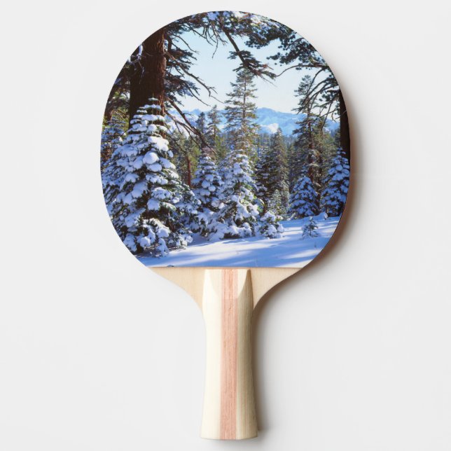 Raquette De Ping Pong Le sapin rouge couvert de neige dans la Haute Sier (Devant)