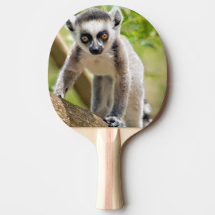 Raquette De Ping Pong Lémurien à anneaux bébé