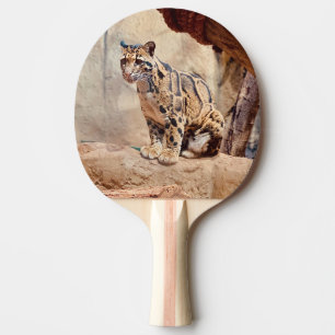 Raquette De Ping Pong léopard nébuleux image nature faune exotique