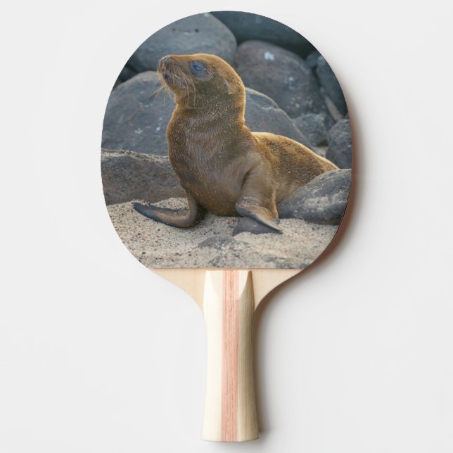 Raquette De Ping Pong Lion de mer des Galapagos (Devant)