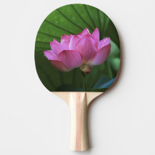 Raquette De Ping Pong Lotus Ohga, jardin Sankei-en, Yokohama, Japon