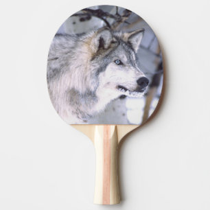 Raquette De Ping Pong Loup de bois, Canis lupus, Animal de cinéma Utah)