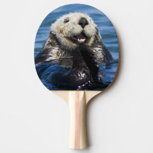 Raquette De Ping Pong Loutre de mer de Californie Enhydra lutris) se toi