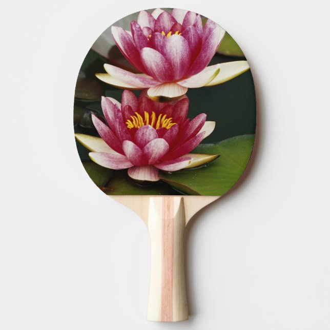 Raquette De Ping Pong Lys d'eau hybrides (Devant)