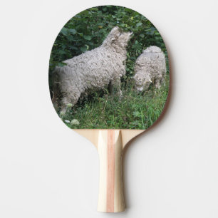 Raquette De Ping Pong Maigre Manger Manger Feuille Ping Pong Paddle