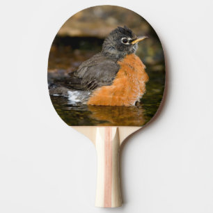 Raquette De Ping Pong Merle américain se baignant 2