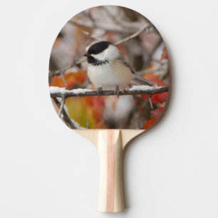 Raquette De Ping Pong Mésange à tête noire adulte dans la neige
