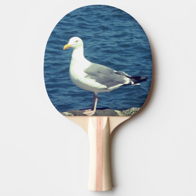 Raquette De Ping Pong Mouette Sur La Baie (Devant)
