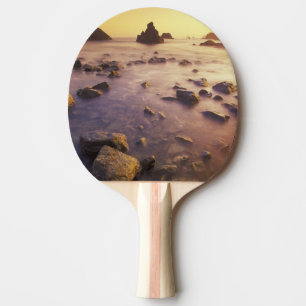 Raquette De Ping Pong NA, États-Unis, Californie, Californie du Nord,