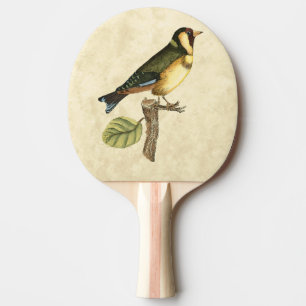 Raquette De Ping Pong Oiseau jaune et vert été perché sur une petite