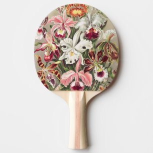 Raquette De Ping Pong Orchidées, Orchidées Denusblumen par Ernst Haeck