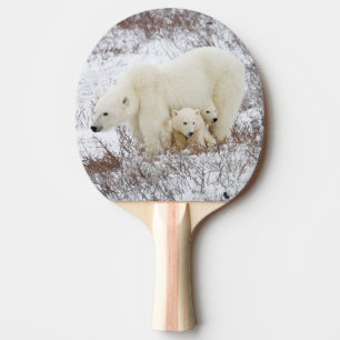 Raquette De Ping Pong Ours blancs femelles et deux petits animaux