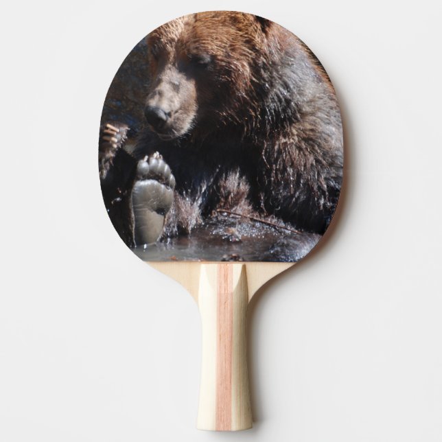 Raquette De Ping Pong Ours de trempage (Devant)