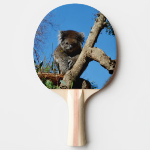 Raquette De Ping Pong Ours Koala,