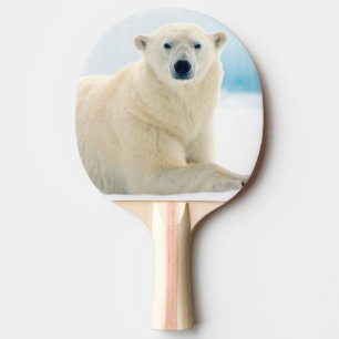 Raquette De Ping Pong Ours polaire adulte grand verrat sur la glace d'ét