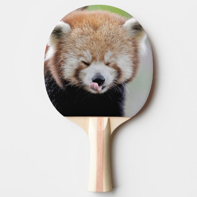 Raquette De Ping Pong paddle ping pong Photo panda rouge, animaux. (Devant)