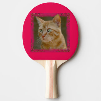 Raquette De Ping Pong Palette de ping-pong de chat de gingembre