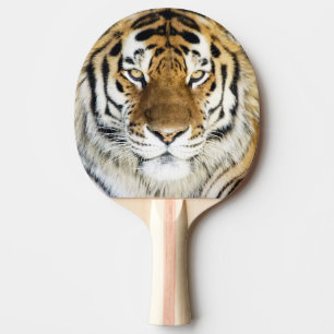 Raquette De Ping Pong Palette de ping-pong de tigre