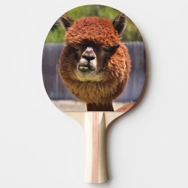 Raquette De Ping Pong Palette drôle de ping-pong d'alpaga (Devant)