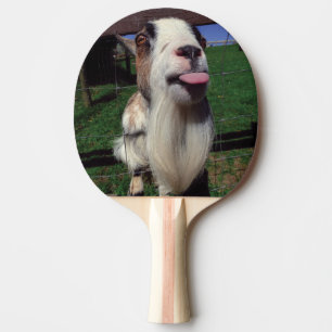 Raquette De Ping Pong Palette effrontée de ping-pong de chèvre