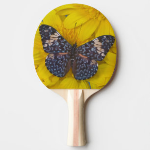 Raquette De Ping Pong Papillon sur une Fleur Jaune