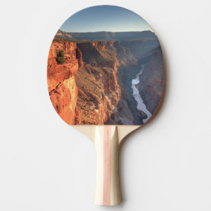 Raquette De Ping Pong Parc national de canyon grand, Etats-Unis