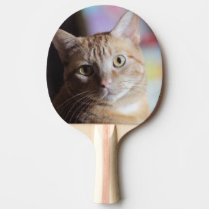 Raquette De Ping Pong Penny