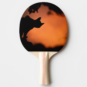 Raquette De Ping Pong Personnaliser Arrière - plan Halloween Black Cat O