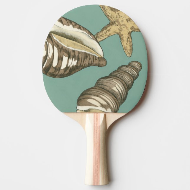 Raquette De Ping Pong Petit trio Shell Turquoise (Devant)
