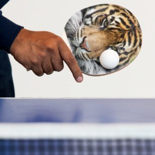 Raquette De Ping Pong Photo de la faune du tigre de Sumatran