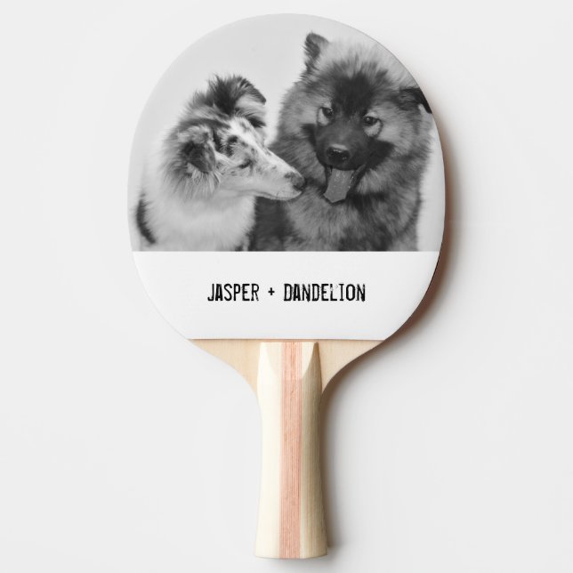 Raquette De Ping Pong Photo simple, moderne personnalisée pour animaux d (Devant)
