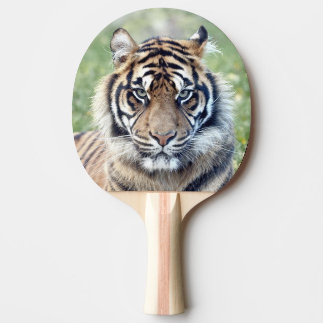Raquette De Ping Pong Photo tiger, animaux 0291. (Devant)