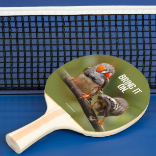 Raquette De Ping Pong Pinsons zèbres effrontés sur une branche chanteuse