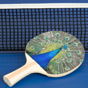 Raquette De Ping Pong Plumage bleu Peacock
