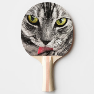 Raquette De Ping Pong Portrait de chats cubes