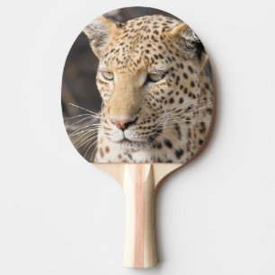 Raquette De Ping Pong Portrait de Léopard