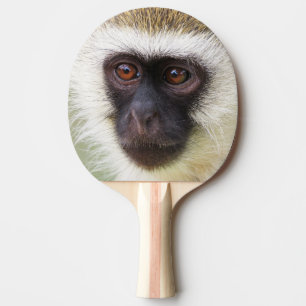 Raquette De Ping Pong Portrait mignon de singe