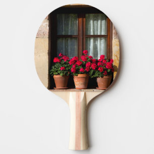 Raquette De Ping Pong Pots de fleurs de fenêtres dans le village